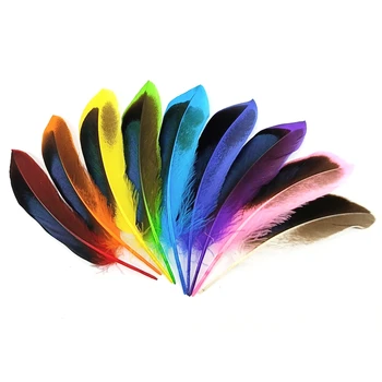 En-gros de Culoare Fazanul de Pene pentru Meserii de 10-15cm Pene Naturale Frizură Bijuterii DIY Crearea de Decoratiuni de Vacanță Plumas
