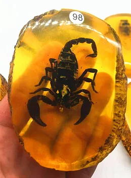 Naturale Cristal de cuarț de Energie Amber animal de Pluș cadou de Anul Nou decor acasă