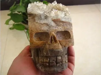 1,5 kg frumusețea naturală clar cluster craniu de cristal specimene