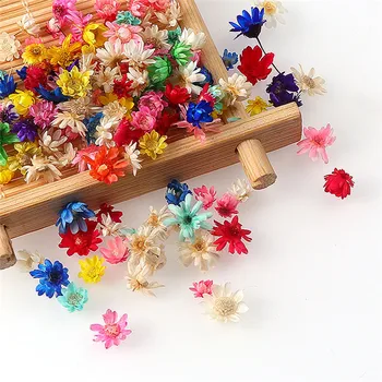 100/200pcs Real Flori Uscate Little Star Flori Pentru DIY Rășină Epoxidică Bijuterii de Luare de Decorare Mucegai Completarea Art Craft Decor