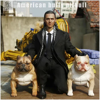 1/6 American Bully Pitbull 1.0 Classic Edition Model Animal De Companie Câine Figura Adulți, Copii Jucărie De Crăciun Gfit Decor Acasă Ornamente Auto